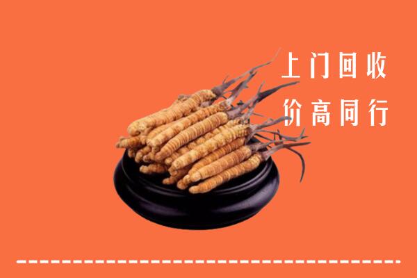惠安县冬虫夏草回收多少钱每克